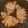 ☆ドキンちゃん☆”'s cooksnap of when they made 簡単♪とんてき（スタミナにんにくだれ）.