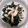 マヨメロディー's cooksnap of when they made 簡単☆ほうれん草としめじのおひたし.
