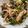 クック1Q7TL5☆'s cooksnap of when they made *キノコ★セロリ葉のニンニクバター炒め*.