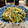 Superlittleboo's cooksnap of when they made 豆苗とえのきの塩昆布和え.
