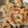 郁たん's cooksnap of when they made 【裏ワザ】冷凍えびの解凍方法.