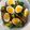 クックZ54KXF☆'s cooksnap of when they made 鶏のさっぱり煮.