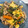 ゆ、か、り、's cooksnap of when they made 豚肉とにらとたまごの中華風炒め.