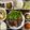 ☆あさ's cooksnap of when they made 居酒屋のやみつきキャベツ　お通しにも◎.