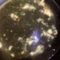Mickey♪'s cooksnap of when they made 鯛の出汁・アラの出汁の取り方.