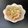 なんだっけママさん's cooksnap of when they made もやしとささみの胡麻ポンサラダ.
