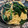 ゆなっちママ's cooksnap of when they made ほうれん草の和風スパゲティ.