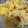 猫の手程度's cooksnap of when they made おせち☆くちなしナシで作る！栗きんとん.