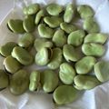 moou0610's cooksnap of when they made そら豆の茹で方・最高の塩加減♪♪.