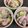 [Gusuku]ナナモモ's cooksnap of when they made 白菜と胡瓜のコールスロー.