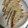 はなもいわ's cooksnap of when they made 残った焼売の皮で☆プチピザ風.