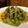 ダッフィーニーうに's cooksnap of when they made 枝豆のペペロンチーノ.