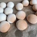 pink_kozou's cooksnap of when they made 35分で！手捏ねで時短簡単丸パン.
