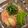 bintangさん's cooksnap of when they made 桃と生ハム、冷凍トマトの冷製パスタ.