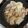 ゆりか04's cooksnap of when they made 豚肉大根の煮物♪簡単レシピ風邪に良い.