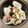 yunchan722's cooksnap of when they made 炊飯器でジャンボな茶碗蒸しうどん入り！.