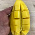 mantacarp's cooksnap of when they made レストラン風♪マンゴーの切り方.