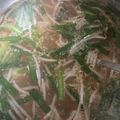 麻美子's cooksnap of when they made 餃子皮で簡単★激うまワンタンスープ.