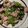 しょうこるん's cooksnap of when they made 激ウマ★豚肉となすピーマンオイスター炒め.