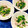 ふたごゆき's cooksnap of when they made 小松菜と豚しゃぶの胡麻しょうが和え.