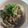 L.R's cooksnap of when they made なすのそうめん.
