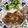 ゴマっち☆'s cooksnap of when they made ✿豚肉のソテーマスタードソース✿.