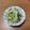 みぃくんのママ's cooksnap of when they made 白だし簡単 白菜のお漬物.