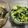 yomo1229's cooksnap of when they made 小松菜と卵のポン酢炒め.