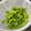 s06007's cooksnap of when they made 枝豆の美味しい茹で方♪.