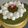 りんちゃか☆'s cooksnap of when they made 抹茶とホワイトチョコのムースケーキ.