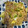 クックKNXEBQ☆'s cooksnap of when they made 旨味をプラスして【焼きちゃんぽん】.