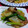 ☆☆あっきん☆☆'s cooksnap of when they made 厚切り大根と豚肉と小松菜のオイスター炒め.