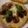 クック7004ZB☆'s cooksnap of when they made 誰も教えてくれない ナポリ ピザ生地.