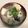 巨鯉師's cooksnap of when they made ☆あんこうの味噌汁☆.