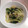 男の子4人のママもっち's cooksnap of when they made レタスを丸々1個食べちゃえ！塩昆布和えだ.