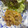れいれい39's cooksnap of when they made ■絶対旨い！豚肉と玉ねぎのマヨ生姜焼き■.