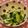 あーこ姐's cooksnap of when they made 甘麹から作った塩麹で作るきゅうりの浅漬け.
