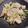 ShOkOtArO✰'s cooksnap of when they made 鶏ムネとセロリの塩炒め.