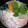 キュアラ☆'s cooksnap of when they made 関西風　簡単絶品白みそのお雑煮♪甘め♪.