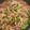 かどりんこ's cooksnap of when they made スピードおかず＊牛肉とピーマンの甘辛炒め.