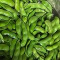 汐璃ママ's cooksnap of when they made 【農家のレシピ】美味しい枝豆の茹で方.
