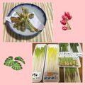 yesmama's cooksnap of when they made 山菜☆コゴミとタラの芽の天麩羅☆.