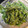 ゆるмαмα's cooksnap of when they made ❀　菜の花のわさびマヨ和え　✿.