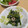わかポン☆'s cooksnap of when they made 簡単副菜 : かぶの葉っぱのナムル.