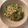 ♡雪見大福♡'s cooksnap of when they made 何もしたくない日の・豆苗ツナマヨぽん酢.
