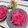 みっちゃん❇️68's cooksnap of when they made 紫キャベツ　カンタン酢につけただけ.