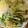 クックOC6RQT☆'s cooksnap of when they made 知らなかった！そうめんは茹でないで！.