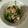 さうるママ♡'s cooksnap of when they made 超簡単！サニーレタスとツナのごま油和え.