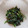 phnanzu's cooksnap of when they made ほうれん草の胡麻くるみ和え。.