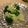 ねみねみ's cooksnap of when they made 朝食に！ブロッコリーと八朔のサラダ.